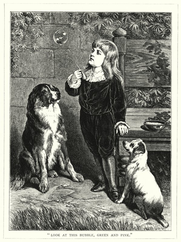 "Regarde cette bulle, verte et rose" - English School