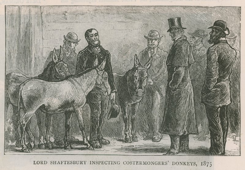 Lord Shaftesbury inspectant les ânes des costermongers - English School