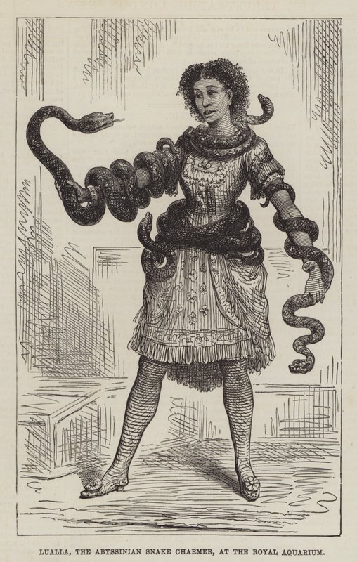 Lualla, la charmeuse de serpents abyssinienne, à l