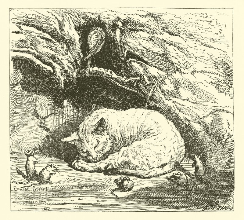 Berceuse - English School