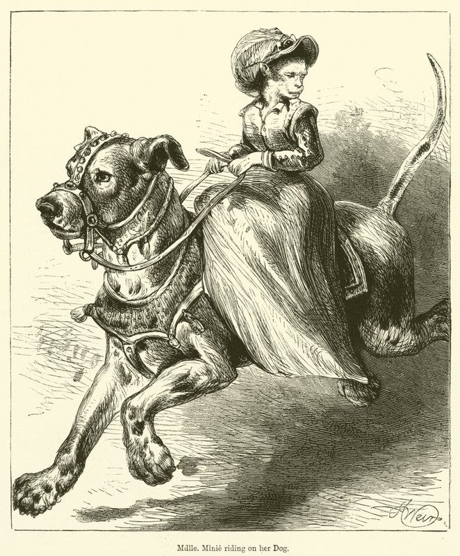 Mademoiselle Minie chevauchant son chien - English School