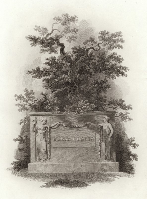 Magna Carta - English School
