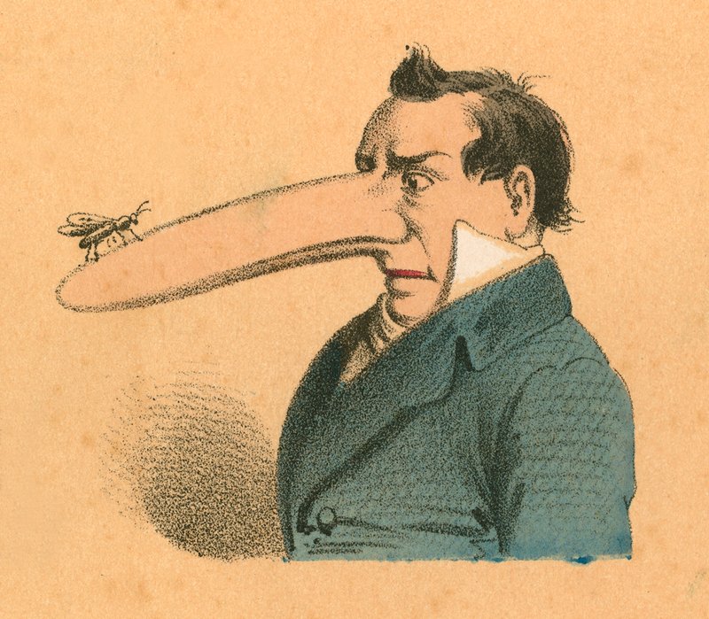 Homme avec une mouche au bout de son long nez - English School