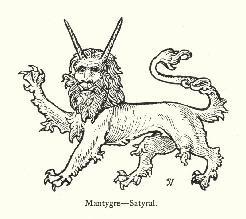 Mantygre, Satyral (gravure) - English School