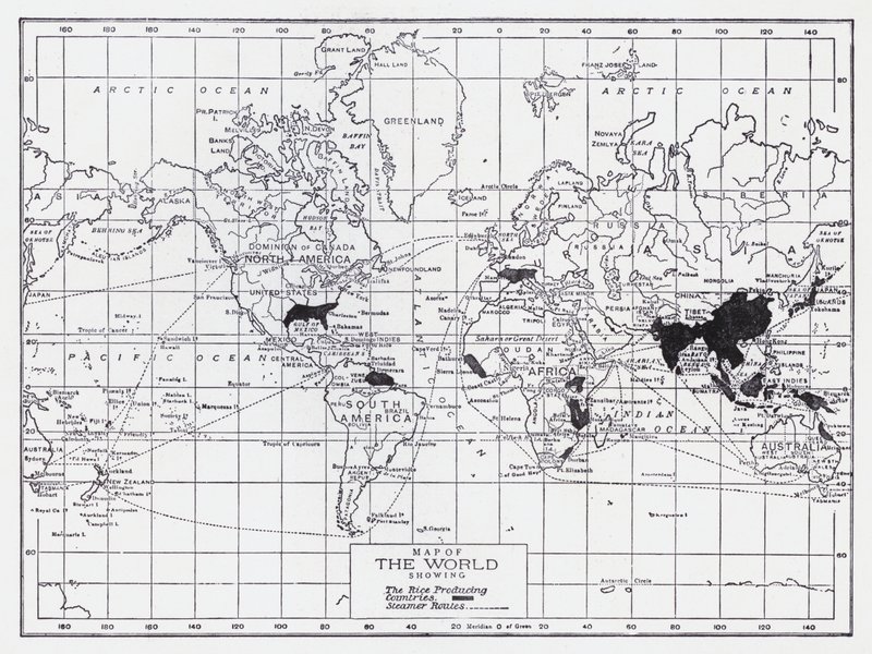 Carte du monde montrant les pays producteurs de riz - English School