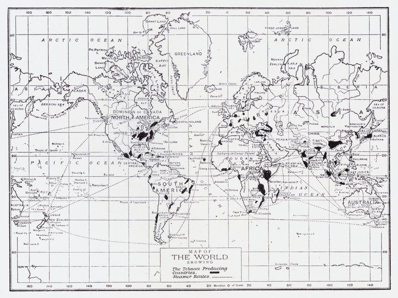 Carte du monde montrant les pays producteurs de tabac - English School