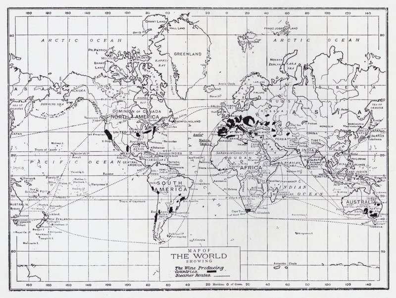 Carte du monde montrant les pays producteurs de vin - English School