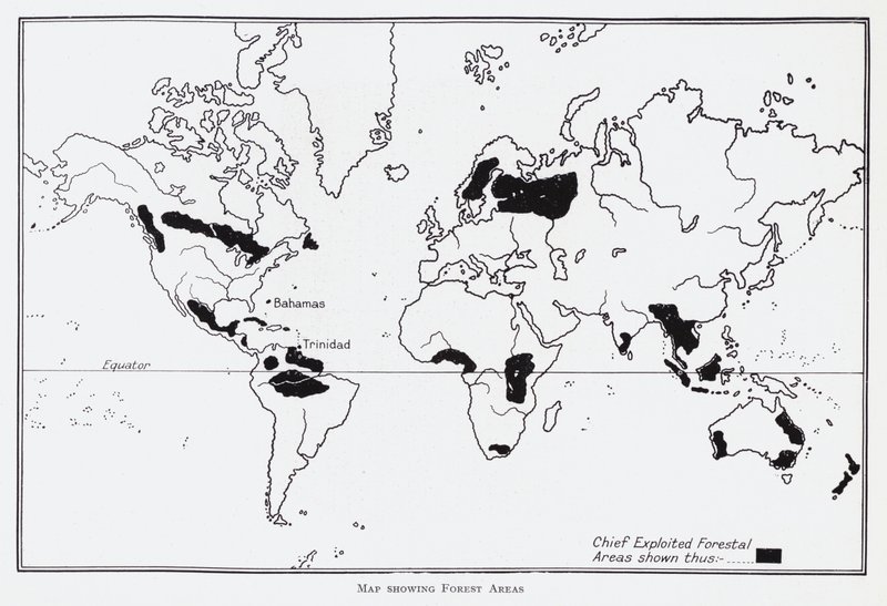 Carte montrant les zones forestières - English School