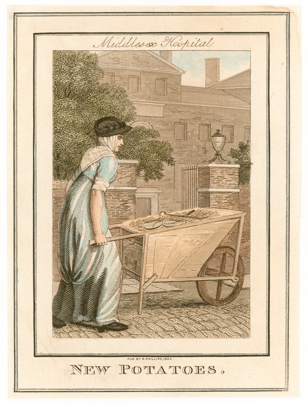 Hôpital de Middlesex. Nouvelles pommes de terre - English School