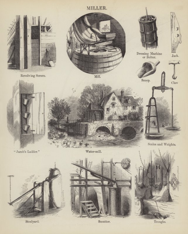Miller (gravure) - English School