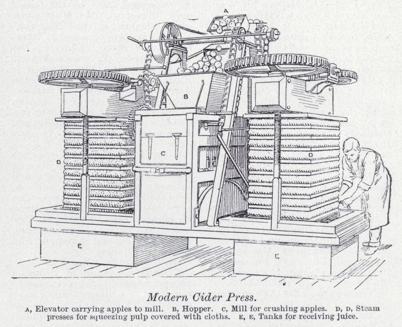 Presse à cidre moderne - English School