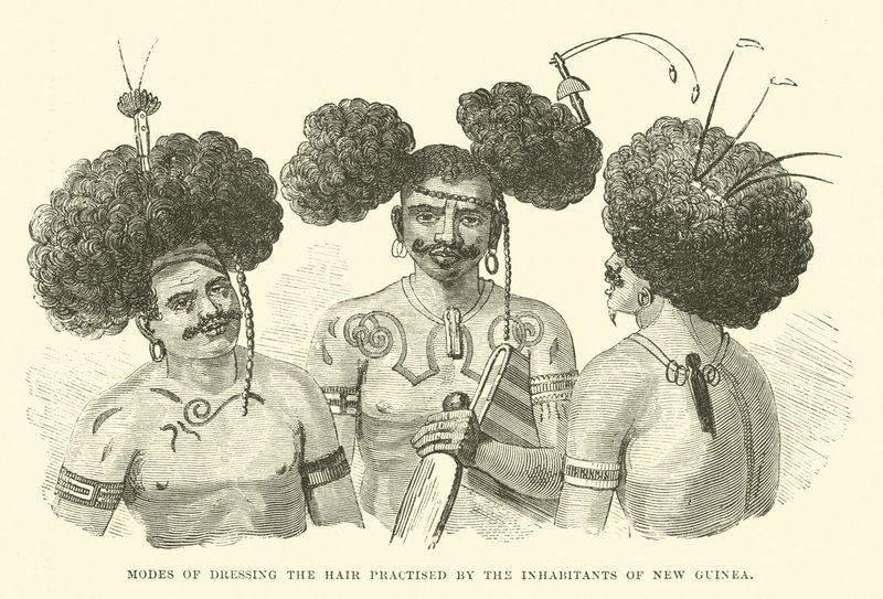 Modes de coiffure pratiquées par les habitants de Nouvelle-Guinée - English School