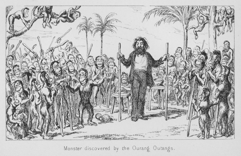 Monstre découvert par les Ourang-Outangs - English School
