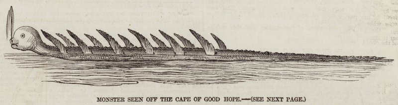 Monstre vu au large du Cap de Bonne-Espérance (gravure) - English School
