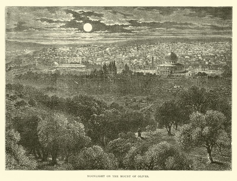 Clair de lune sur le Mont des Oliviers - English School