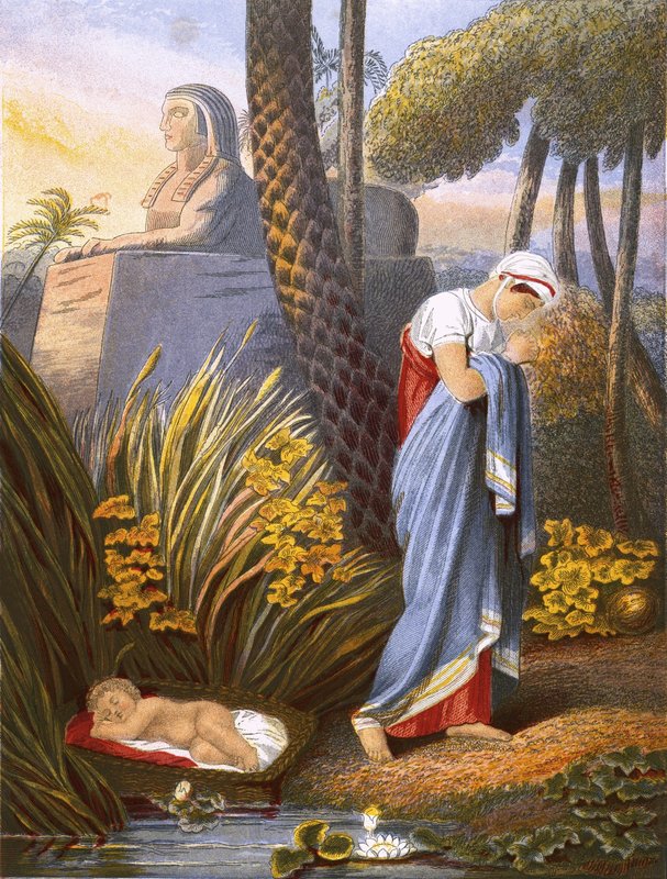 Moïse laissé parmi les roseaux - English School