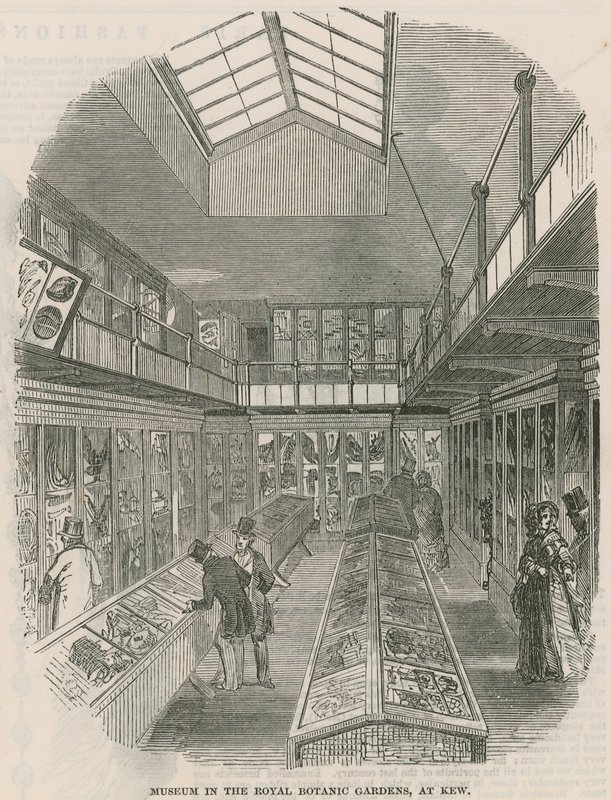 Musée dans les jardins botaniques royaux, à Kew - English School