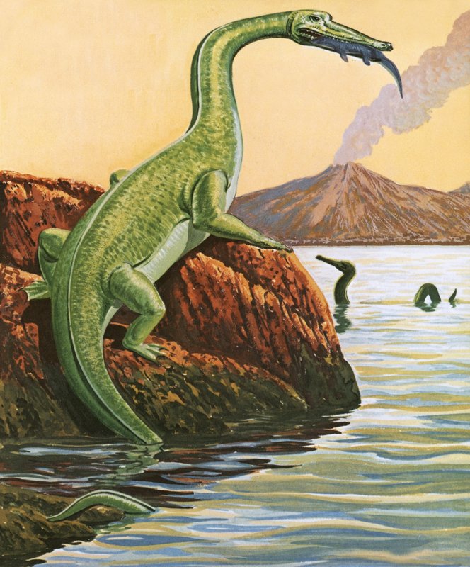 Nathosaurus prenant un repas - English School