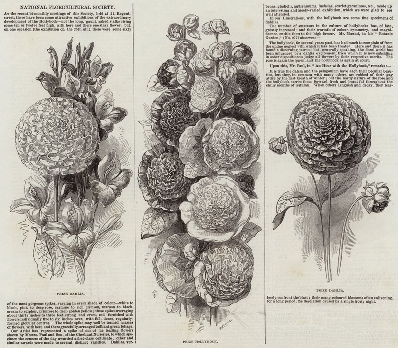 Société nationale de floriculture - English School