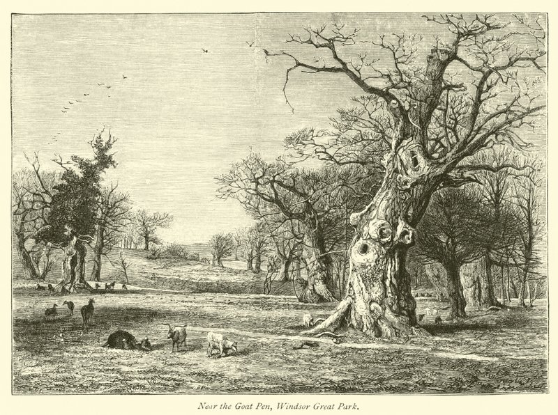 Près de l