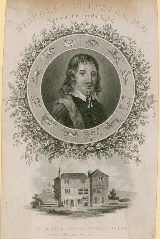 Nicholas Culpepper, MD - English School