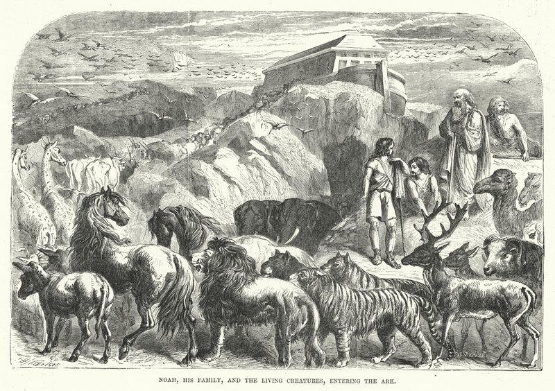 Noé, sa famille et les créatures vivantes entrant dans l