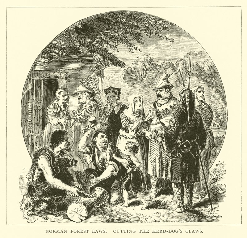 Lois forestières normandes, coupant les griffes des chiens de troupeau - English School