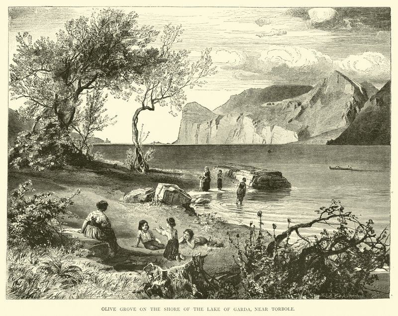 Oliveraie sur le rivage du lac de Garde, près de Torbole - English School