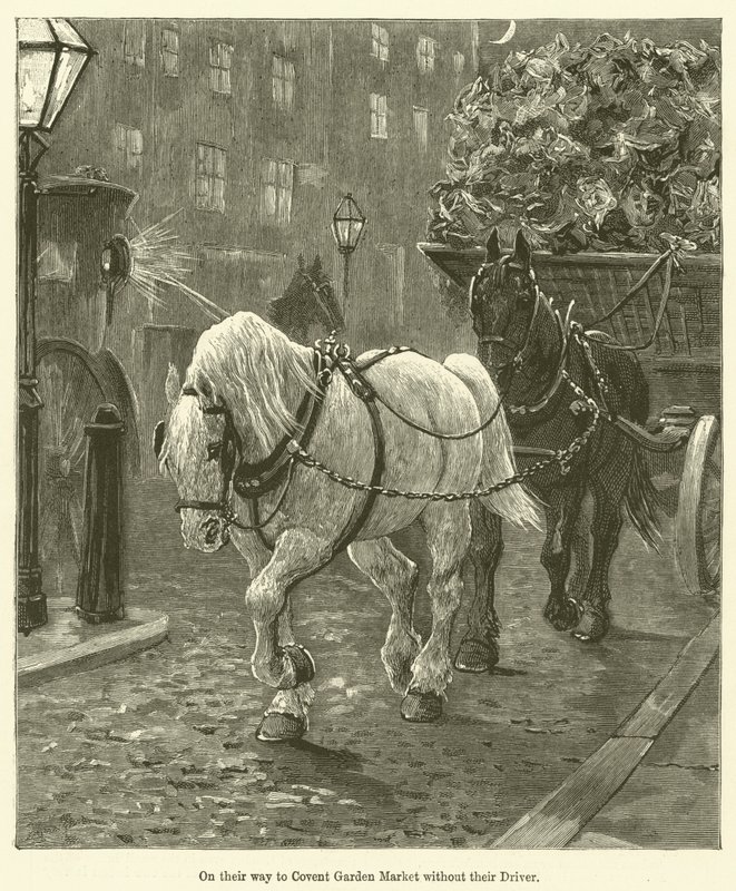 En route pour le marché de Covent Garden sans leur chauffeur (gravure) - English School