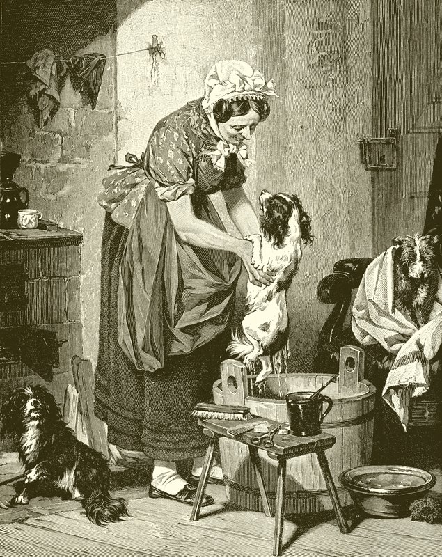 Ordre du bain - English School