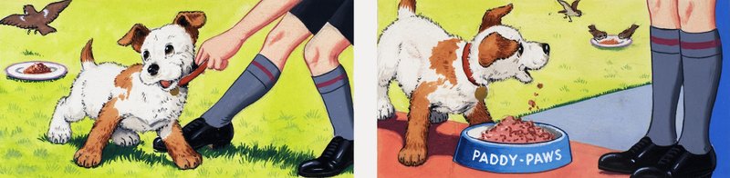 Paddy Paws - English School