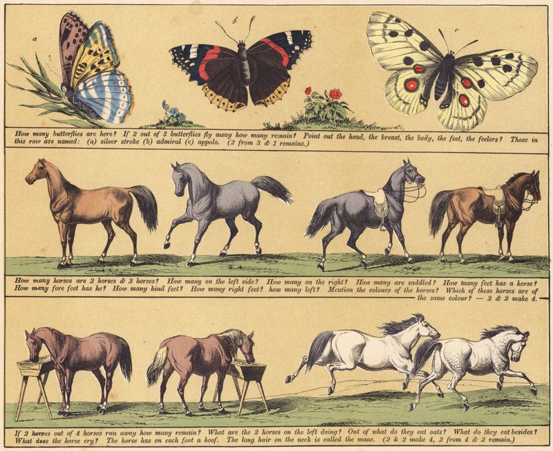 Page du 