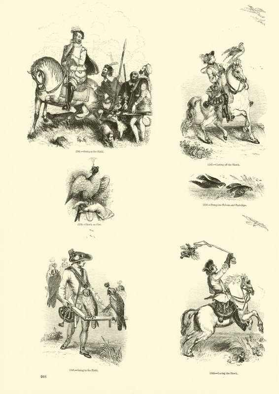Page du Musée Pictural de la Nature Animée - English School