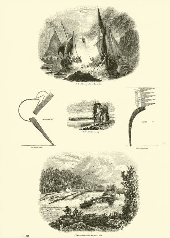 Page du Musée Pictural de la Nature Animée - English School