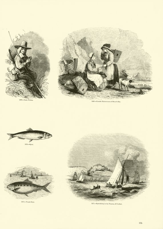 Page du Musée Pictural de la Nature Animée - English School