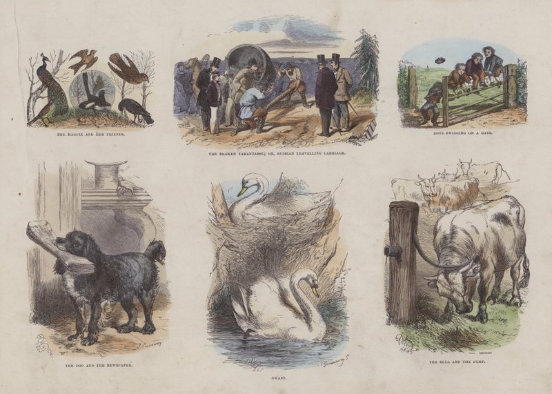 Page du Livre d