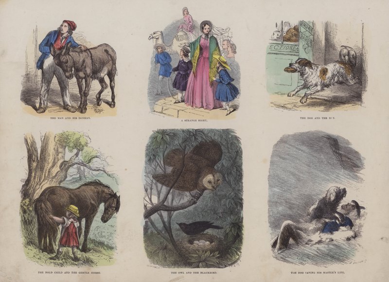 Page du Livre d
