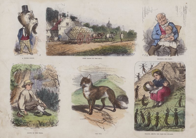 Page du Livre d