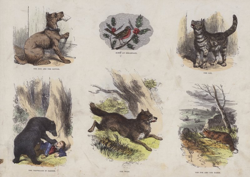 Page du Livre d
