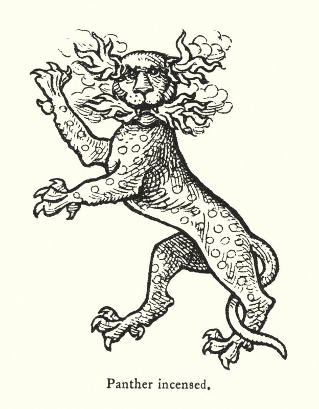 Panthère enflammée (gravure) - English School