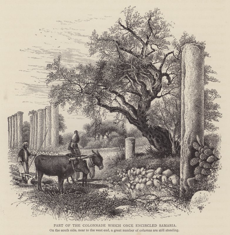 Partie de la colonnade qui entourait autrefois Samarie (gravure) - English School