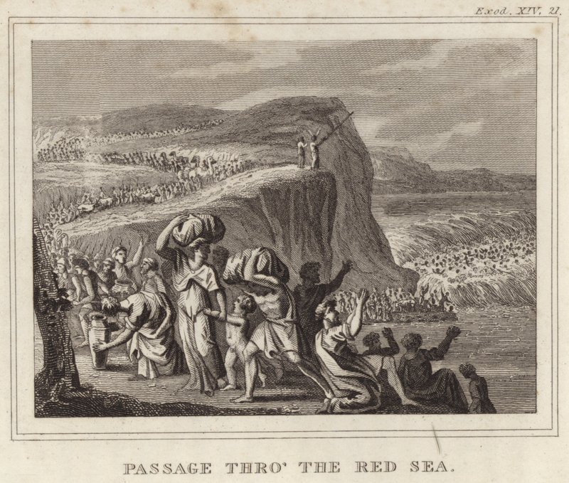 Passage à travers la mer Rouge - English School