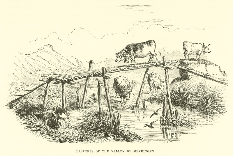Pâturages de la vallée de Meyringen - English School