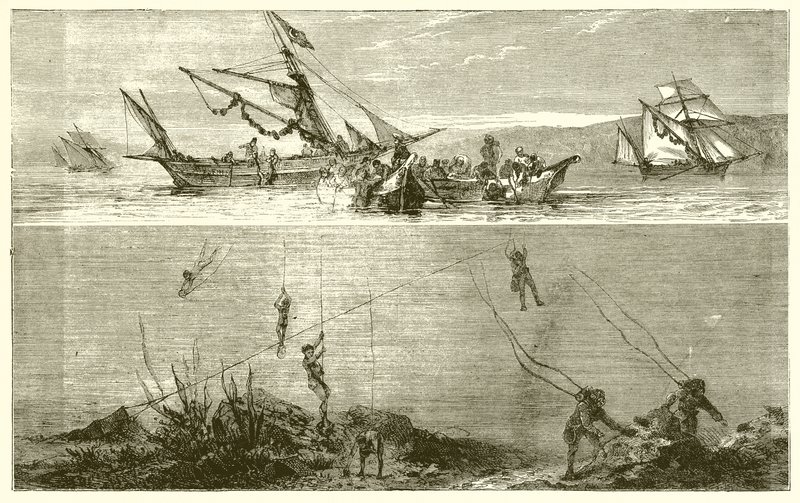Pêche de perles - English School