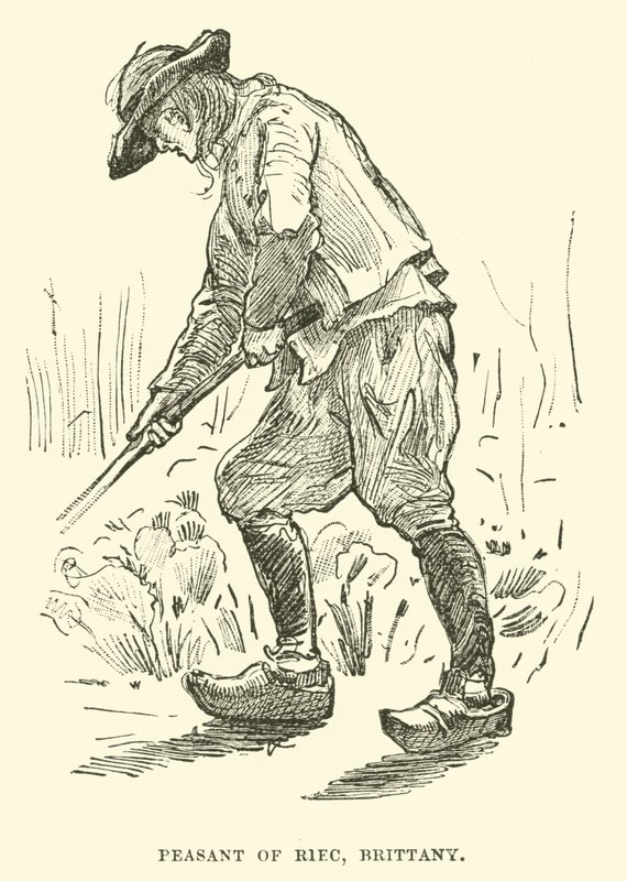 Paysanne de Riec, Bretagne - English School