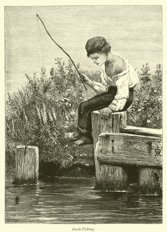 Pêche au brochet - English School