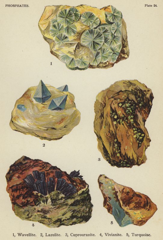 Phosphates, wavellite, lazulite, cuprouranite, vivianite, turquoise - English School