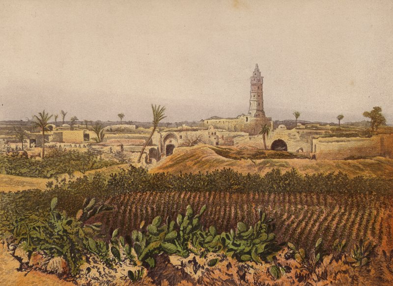 Lieux mentionnés dans la Bible : Gaza, la vieille ville - English School
