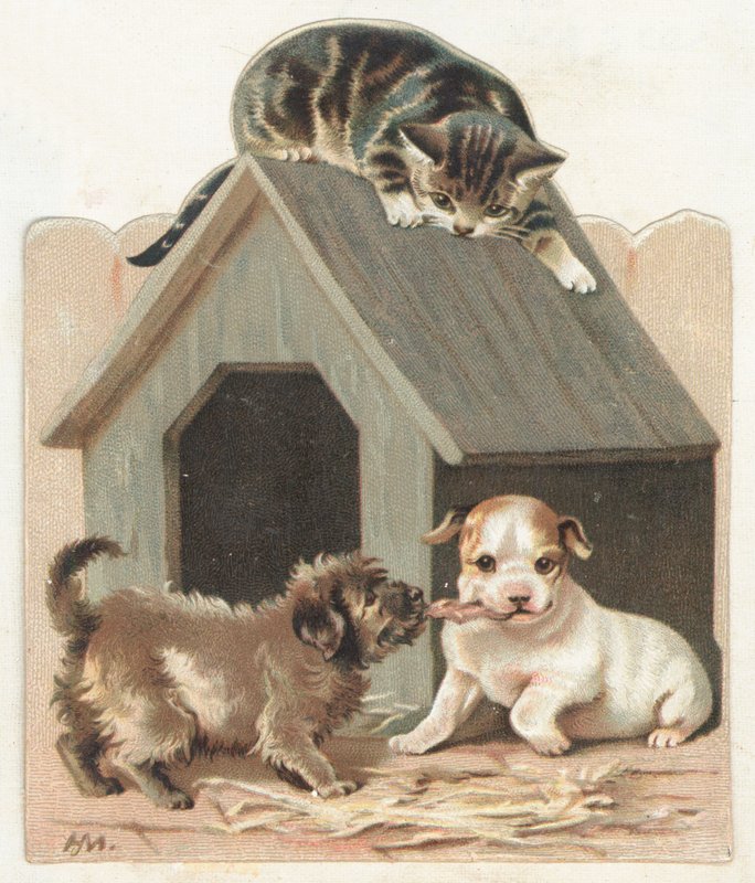 Chiots et chaton joueurs, Carte de Noël - English School