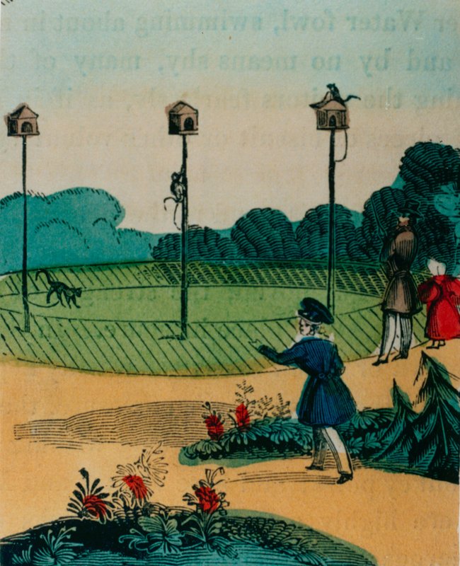 Poteaux auxquels les singes étaient enchaînés en été comme des jouets de singes sur un bâton. Années 1840 - English School